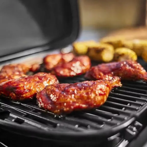 Weber Traveller Compact Gas Barbecue