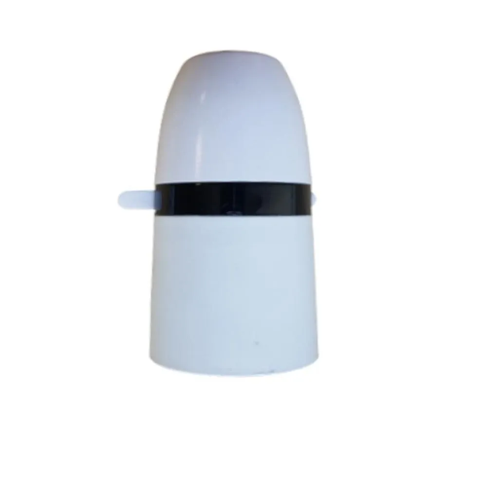 Phoenix Lampholder Switched 60W T1