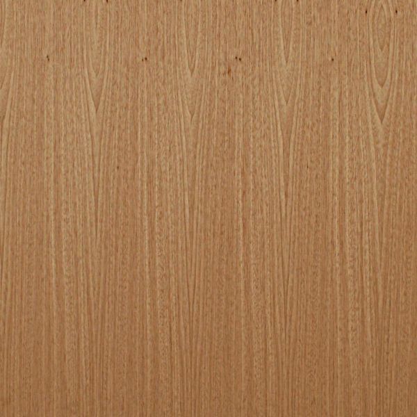 Flush Door 6/8 X 2/8