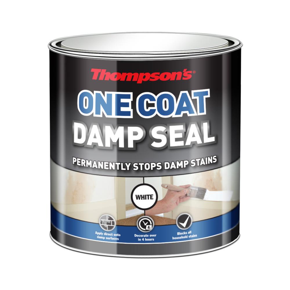 Thompson'S One Coat Damp Seal White 250ml