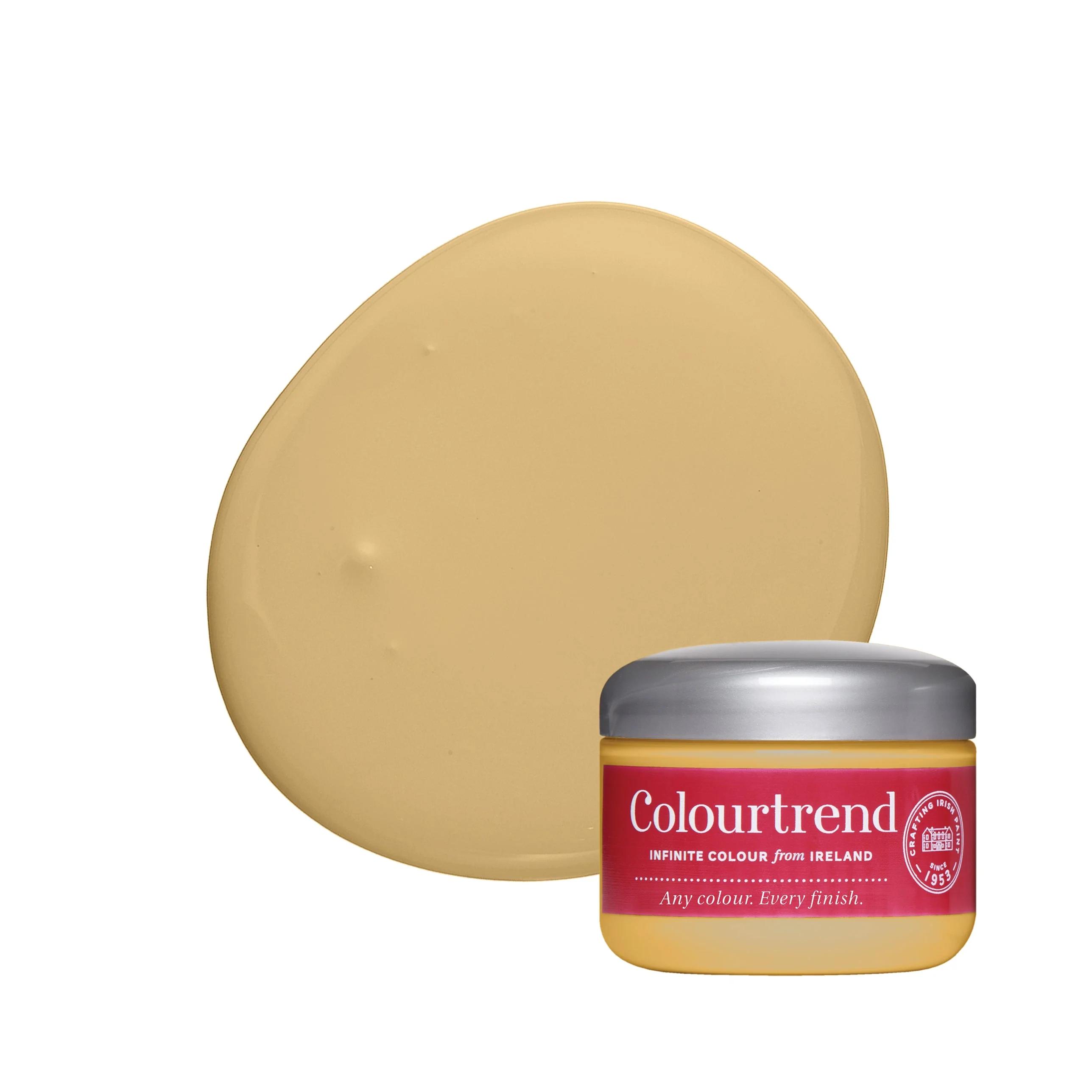 Colourtrend Historic Tester Pot 100ml Delphi