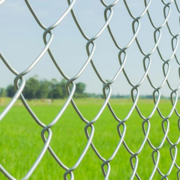 Pvc Chain Link Fence Wire 6ft" X 2" X 25M 30Yds
