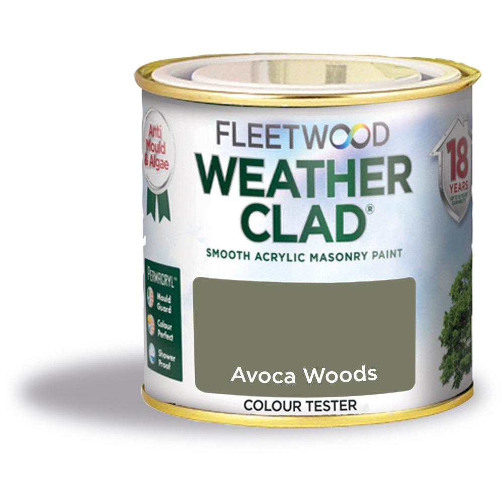 Fleetwood 250ml Weatherclad Avoca Woods