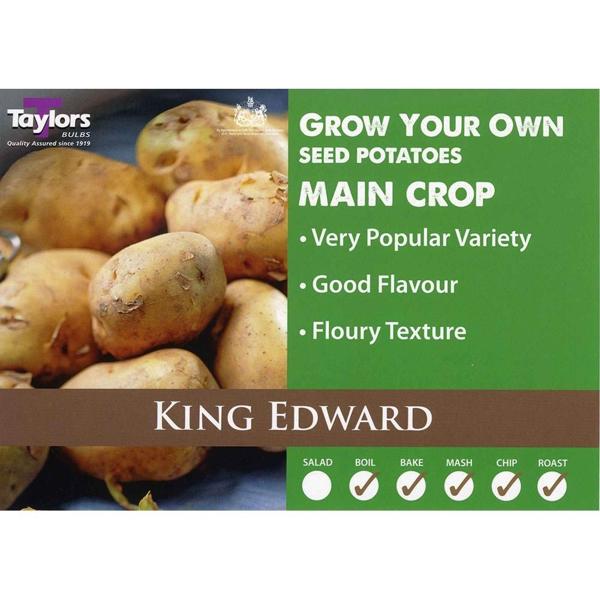Seed Potato - King Edward