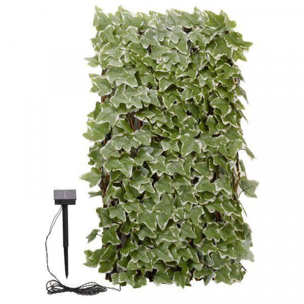 Solar In-Lit Ivy Trellis 75 Led