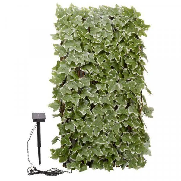 Solar In-Lit Ivy Trellis 75 Led