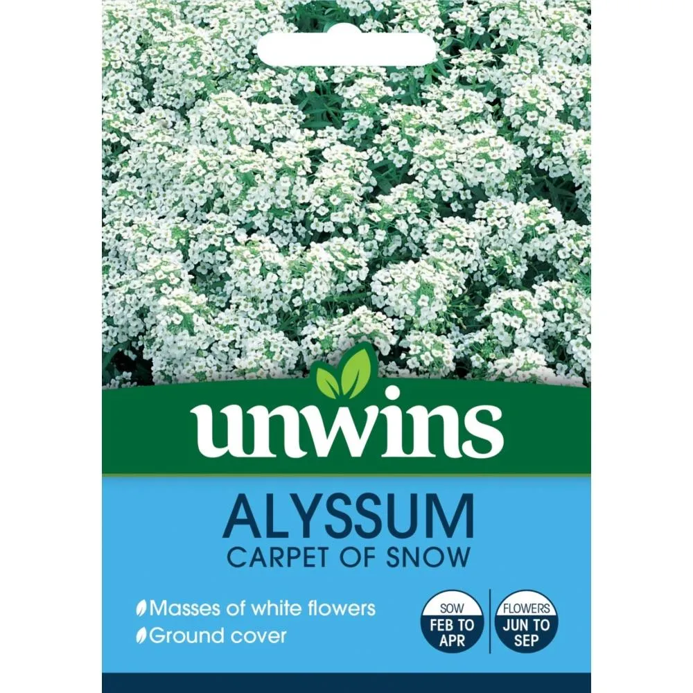Unwins Alyssum Carpet Of Snow