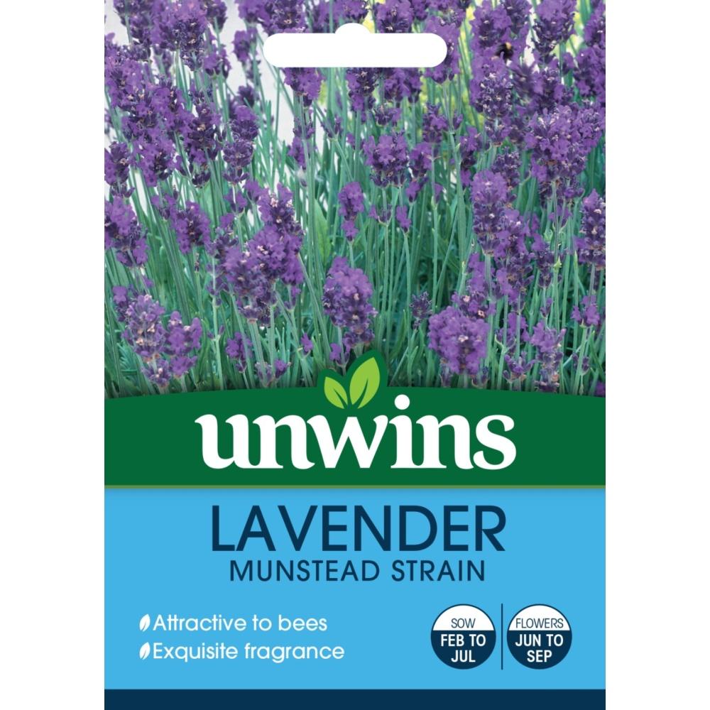 Unwins Lavender Munstead Strain