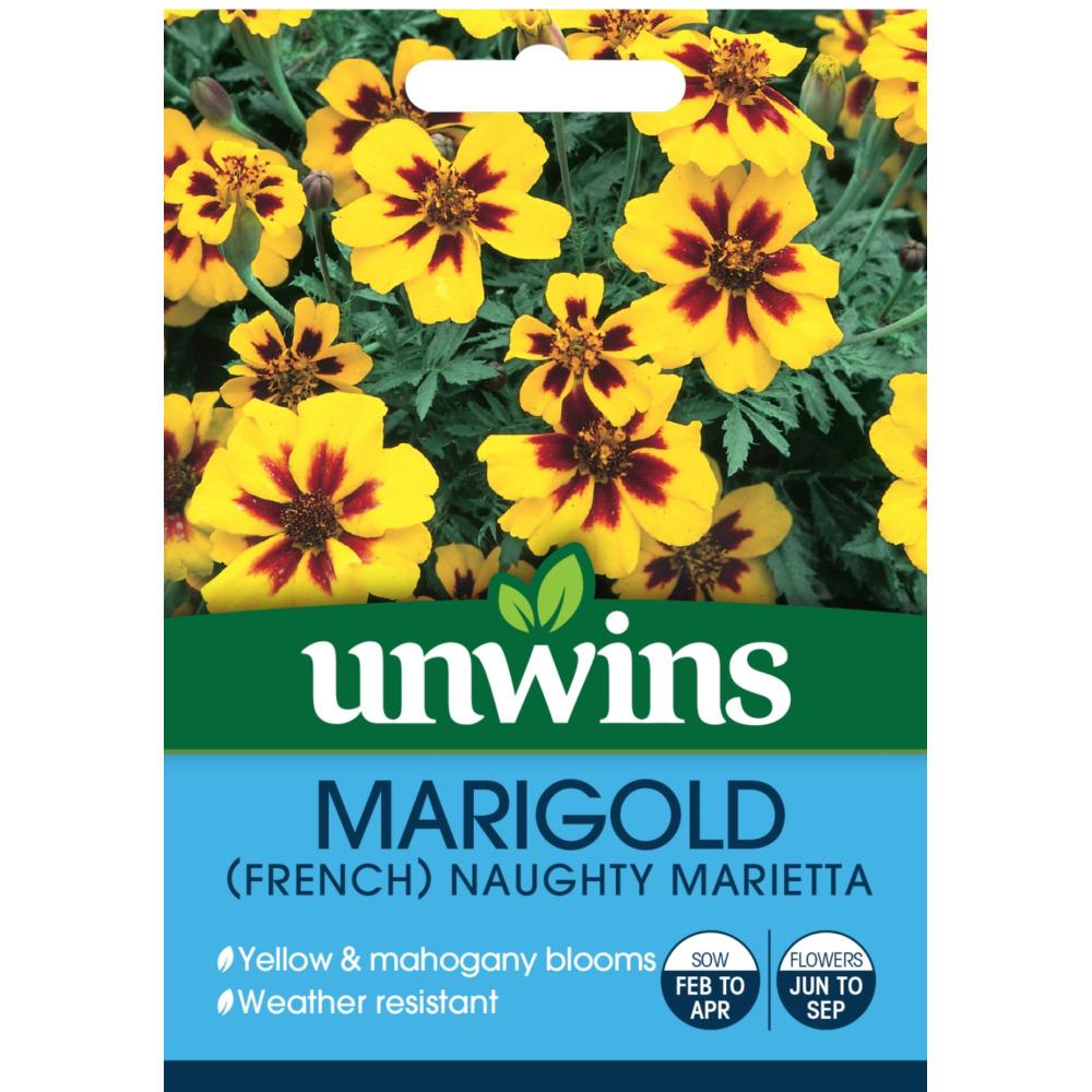 Unwins Marigold French Naughty Marietta