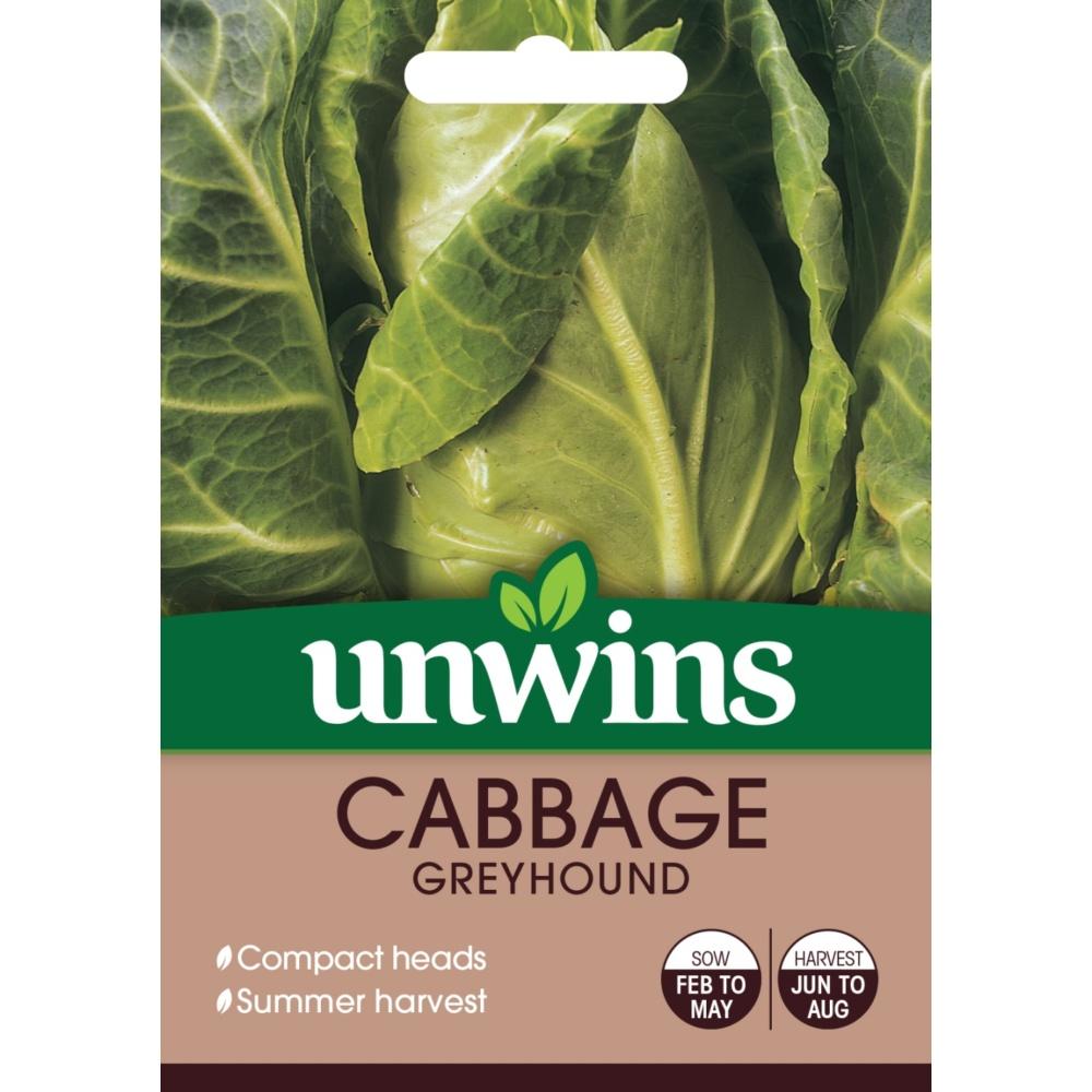 Unwins Cabbage (Pointed) Greyhound