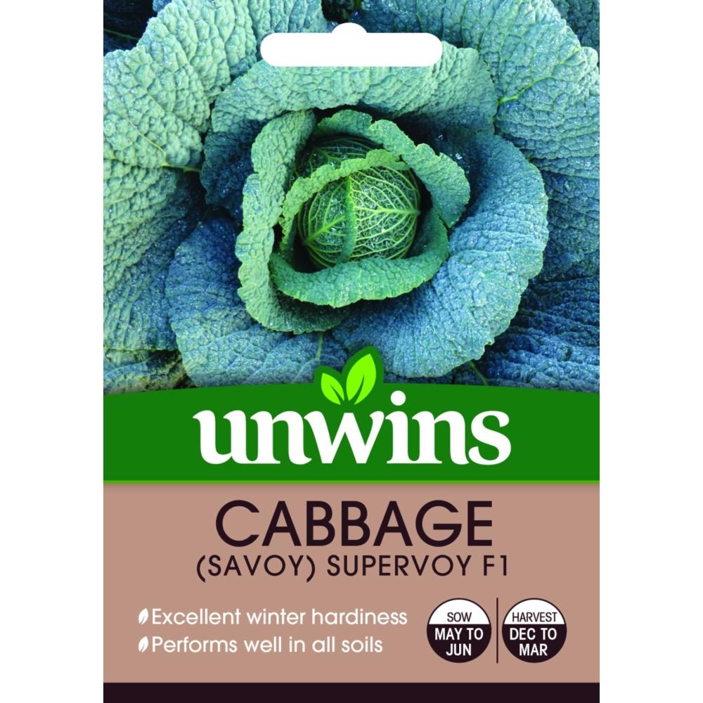 Unwins Cabbage (Savoy) Supervoy F1