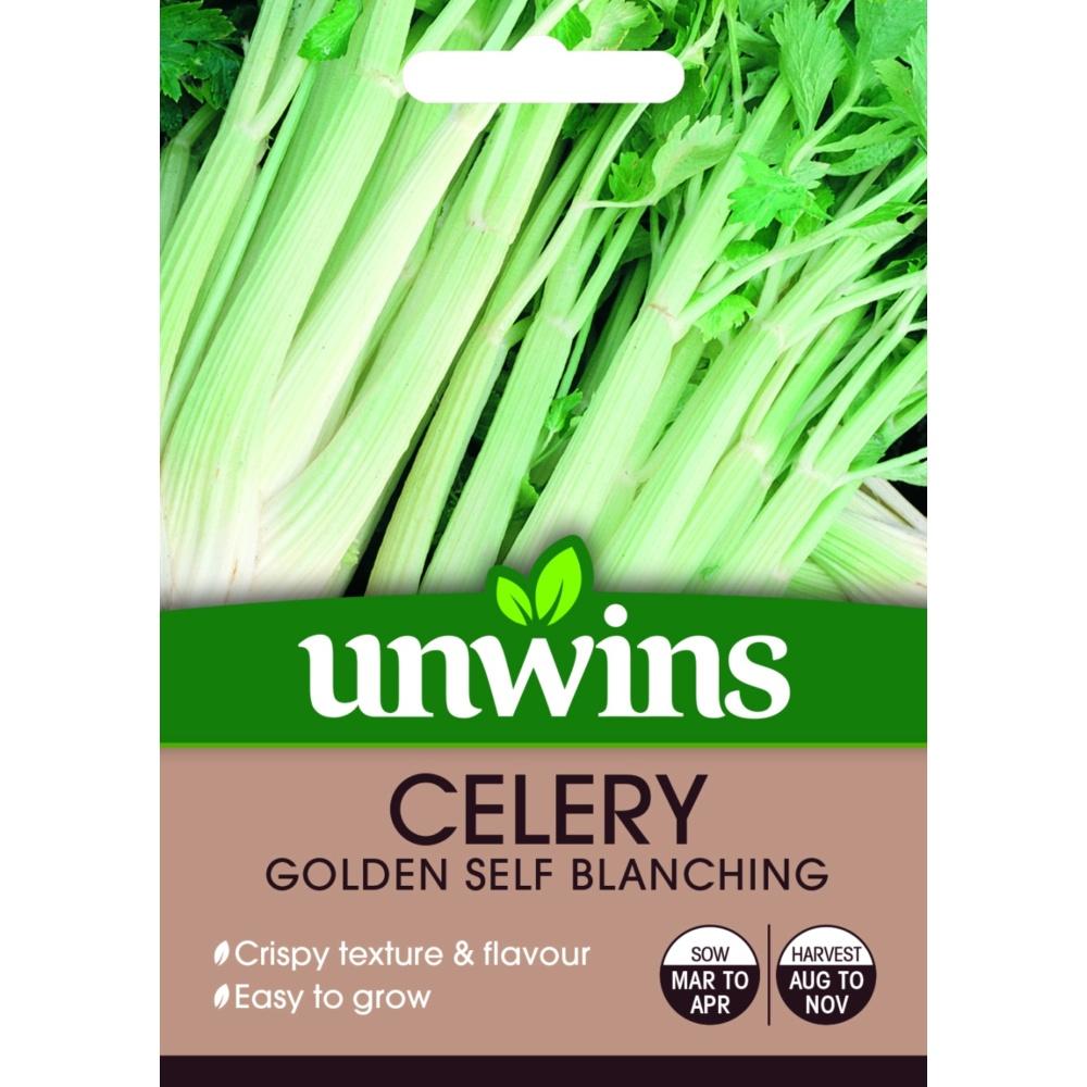 Unwins Celery Golden Self Blanching
