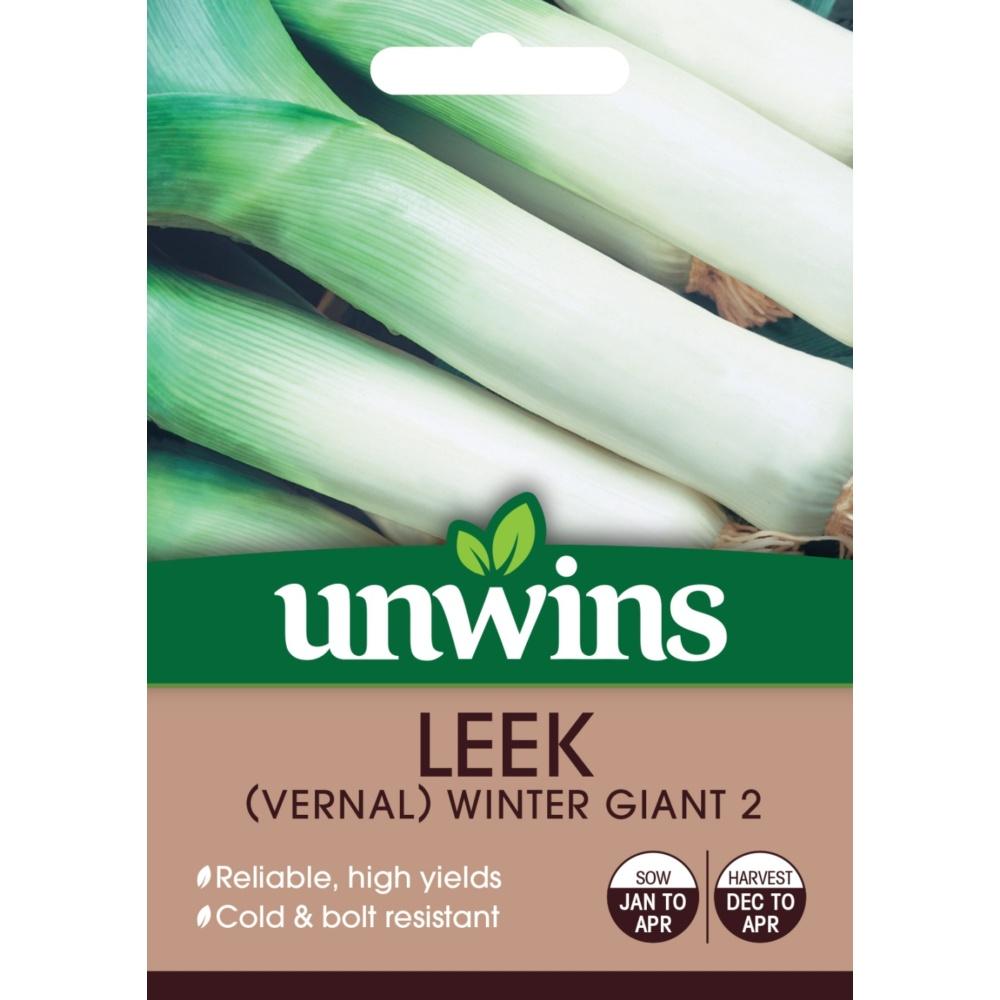 Unwins Leek (Vernal) Winter Giant 2