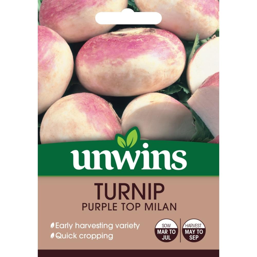 Unwins Turnip Purple Top Milan