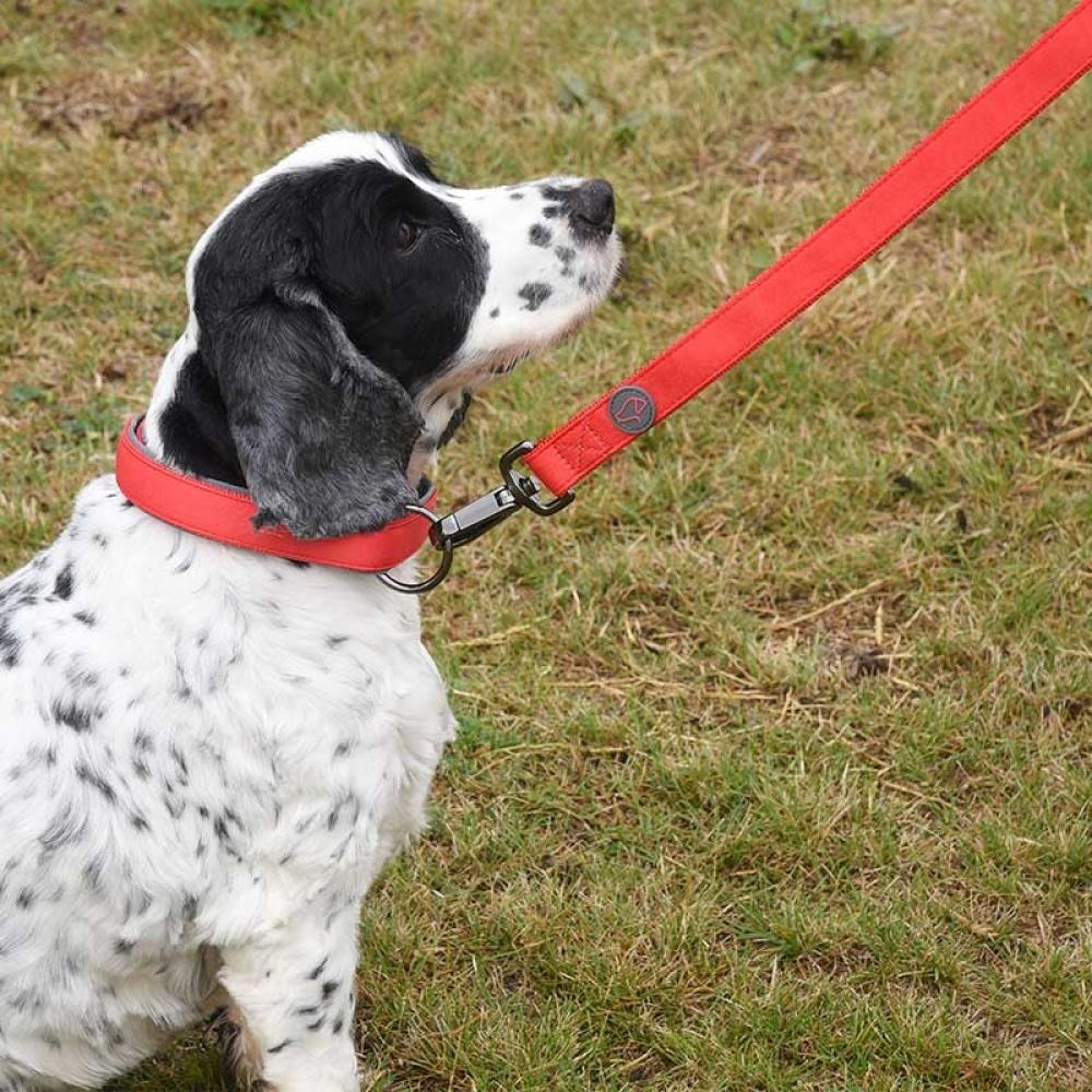 Zoon - Red M Uber-Activ Padded Dog Lead (120 X 2cm)