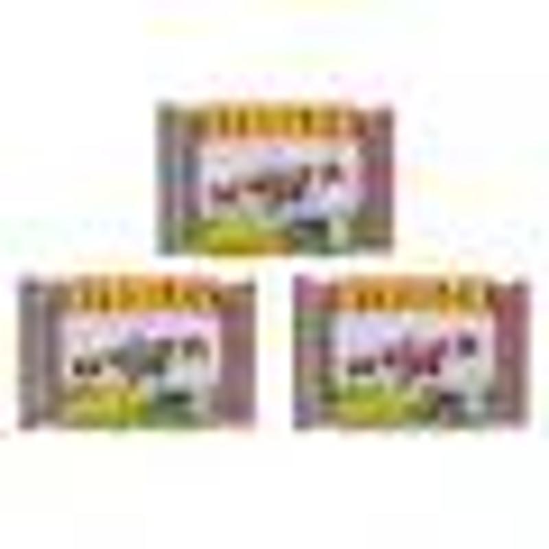 Steelex Pack X3 Scourers