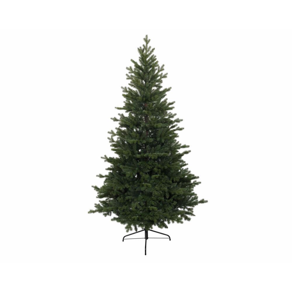 Kingston Pine Tree - 10Ft