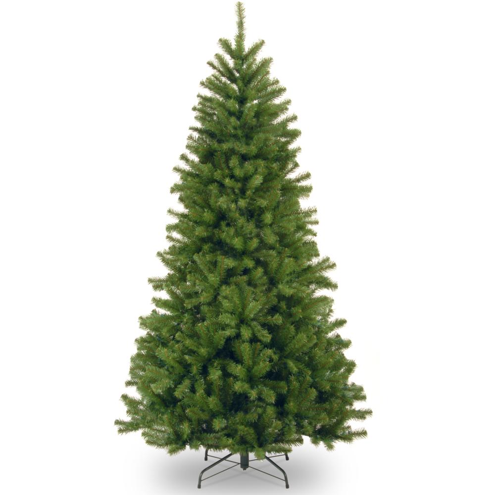 North Valley Spruce Tree - 9Ft