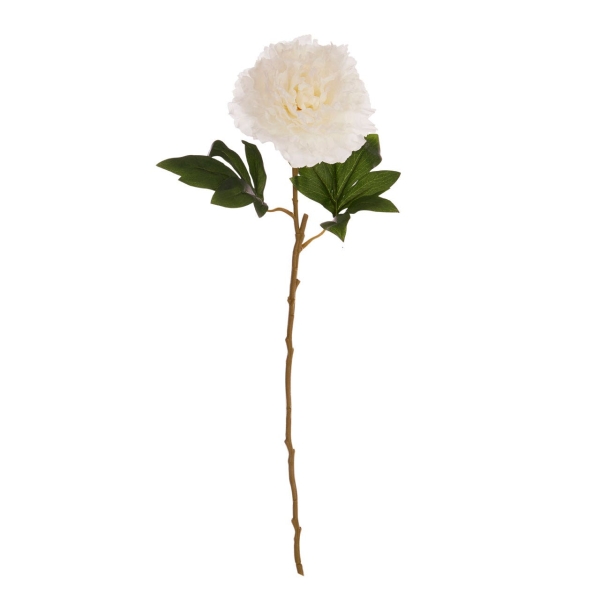 White Peony Stem - Open Ruffled Bloom