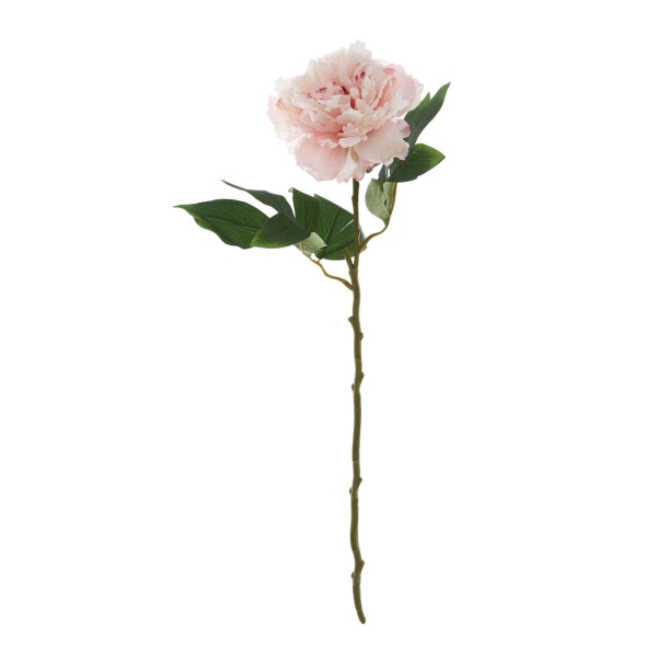 Pink Peony Stem - Open Ruffled Bloom