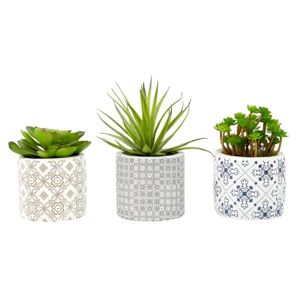 Set Of 3 Succulents - Henna Ceramic Pots