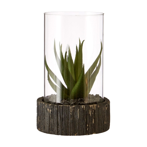Small Succulent - Black Stone Base