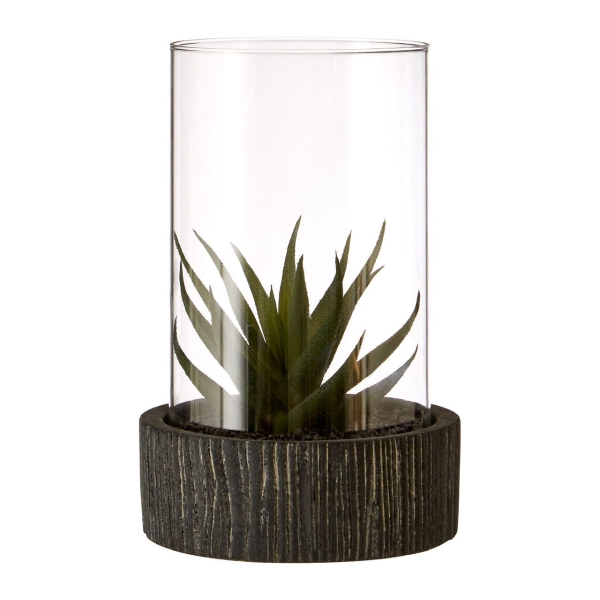 Large Succulent - Black Stone Base