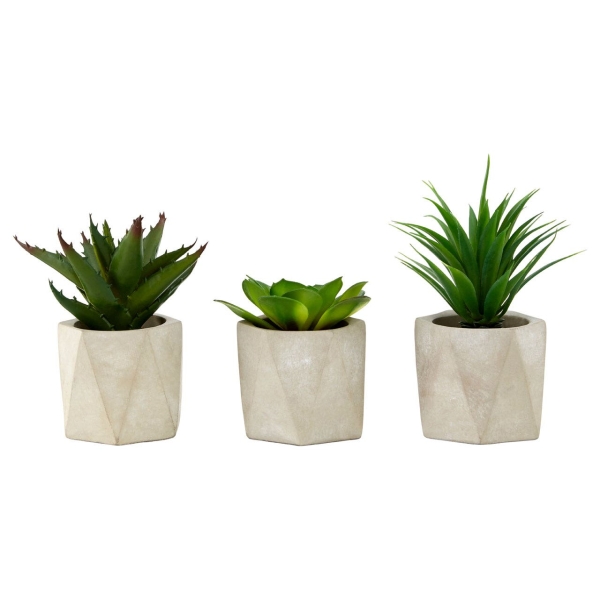 Set Of 3 Succulents - Geo Cement Pots