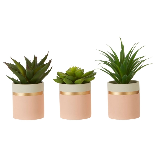 Fiori Set Of 3 Succulents - Lotus/Aloe Vera/ Ceramic Pot Pink/Gold