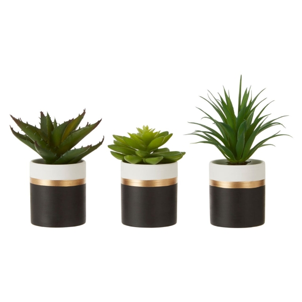 Fiori Set Of 3 Succulents - Lotus/Aloe Vera/ Ceramic Pot Black/Gold