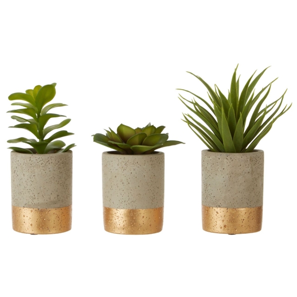 Fiori Set Of 3 Succulents - Ceramic Pot Grey/ Gold