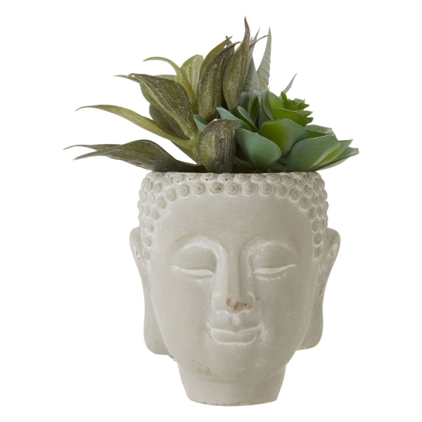 Fiori Mixed Succulent - White Wash Cement