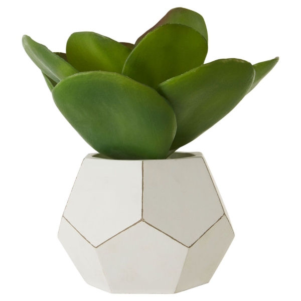 Fiori Succulent - White Cement Pot