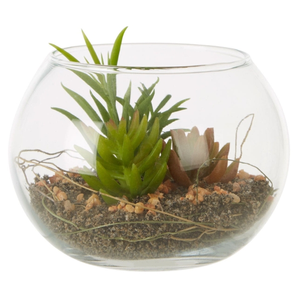 Fiori Mixed Succulent - Glass Pot