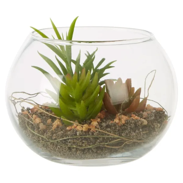 Fiori Mixed Succulent - Glass Pot