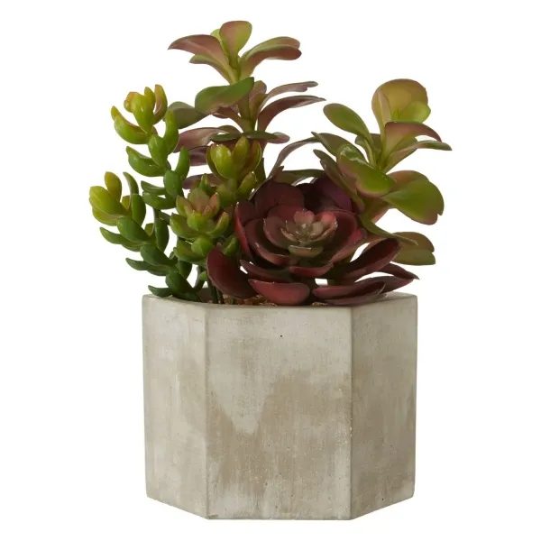 Fiori Mixed Succulent - Stone Effect Pot