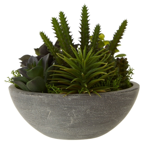 Fiori Mixed Succulent - Stone Effect Pot