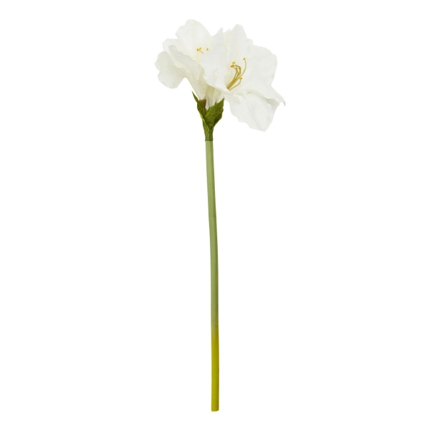 Fiori 72cm Amarylilis Stem - Ivory