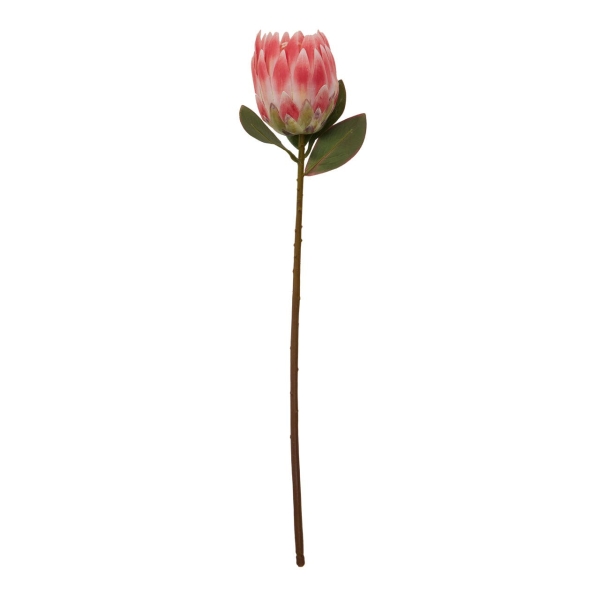 Fiori 62cm Protea Stem - Pink