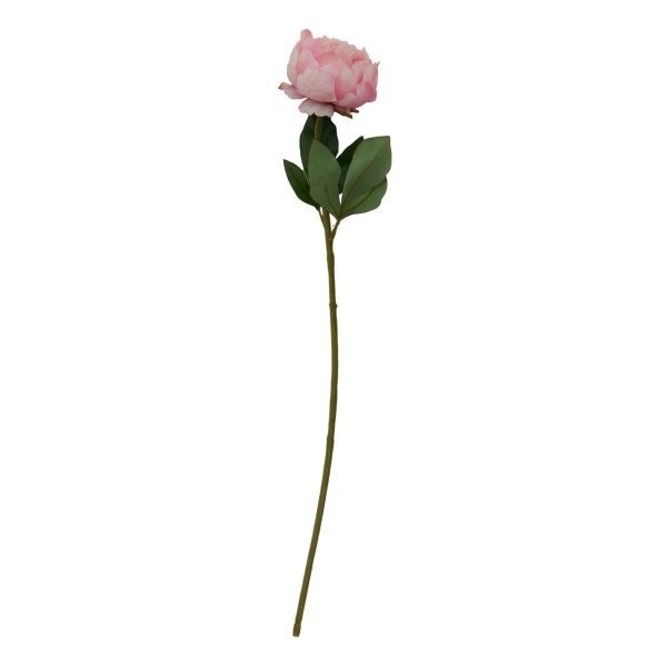 Fiori 65cm Peony Stem - Pink