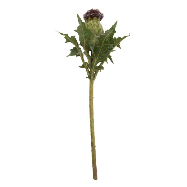 Fiori 56cm Thistle Stem - Purple/Green