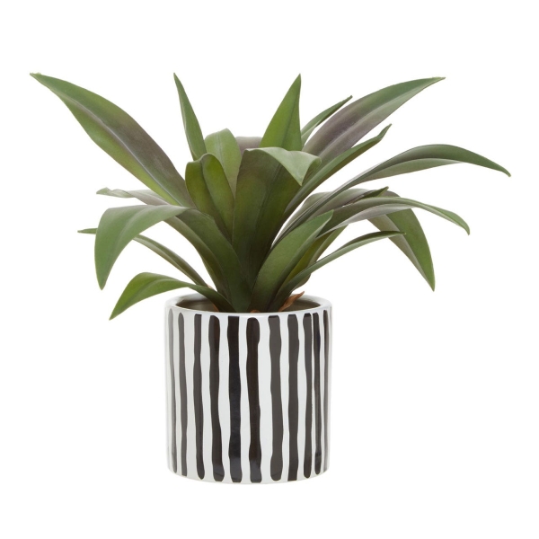 Fiori Agave In Blk/Wht Stripe Ceramic Pot