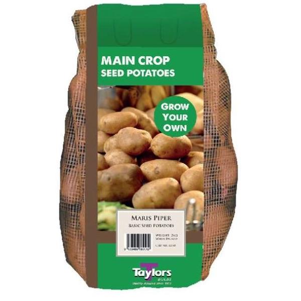 Seed Potatoes - Maris Piper
