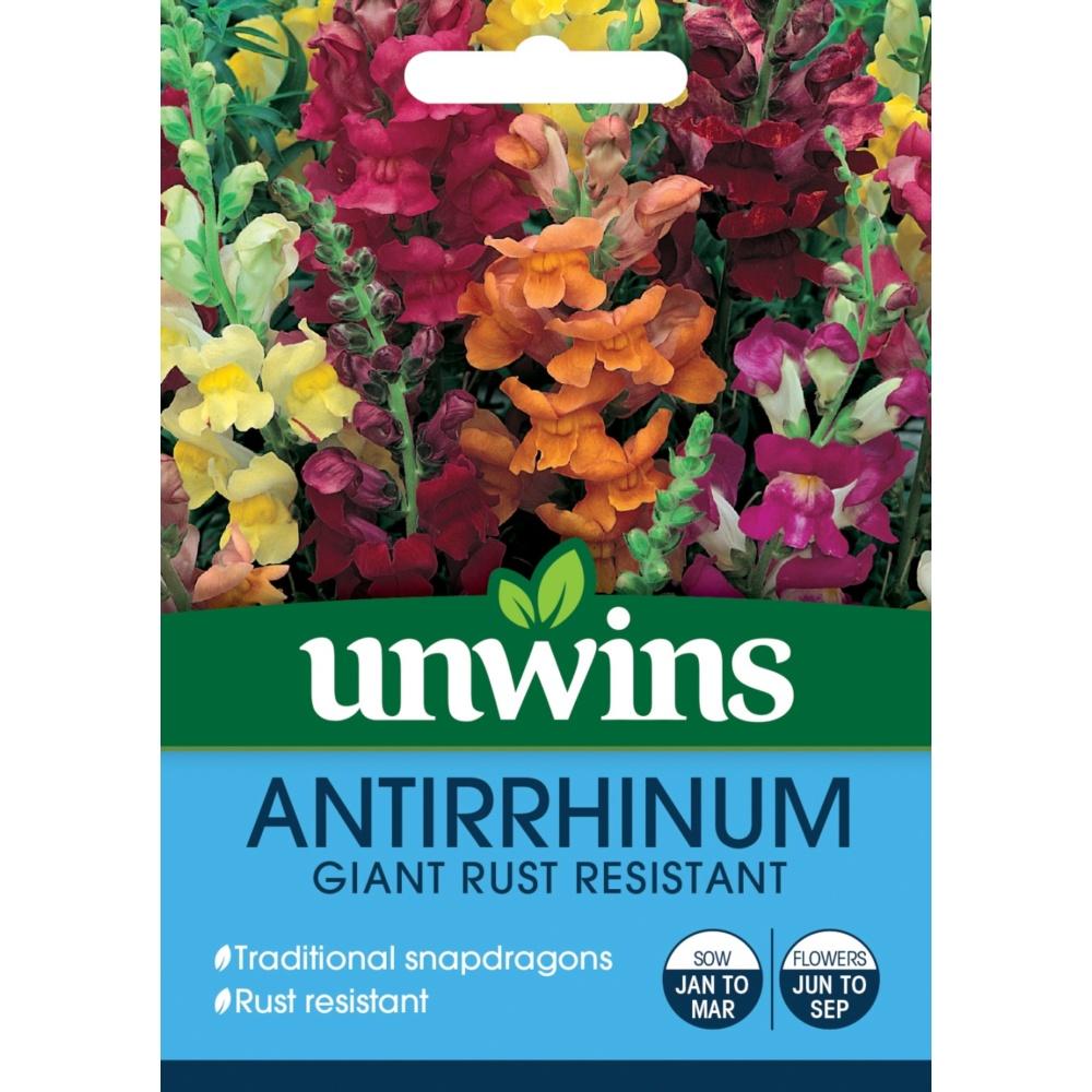 Unwins Antirrhinum Giant Rust Resistant