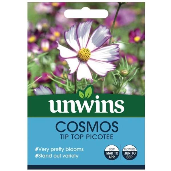 Cosmos 'Tip Top Picotee