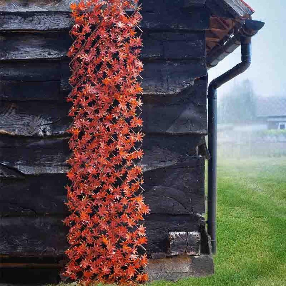 Faux Decor - Red Acer Leaf 180 X 60cm Trellis