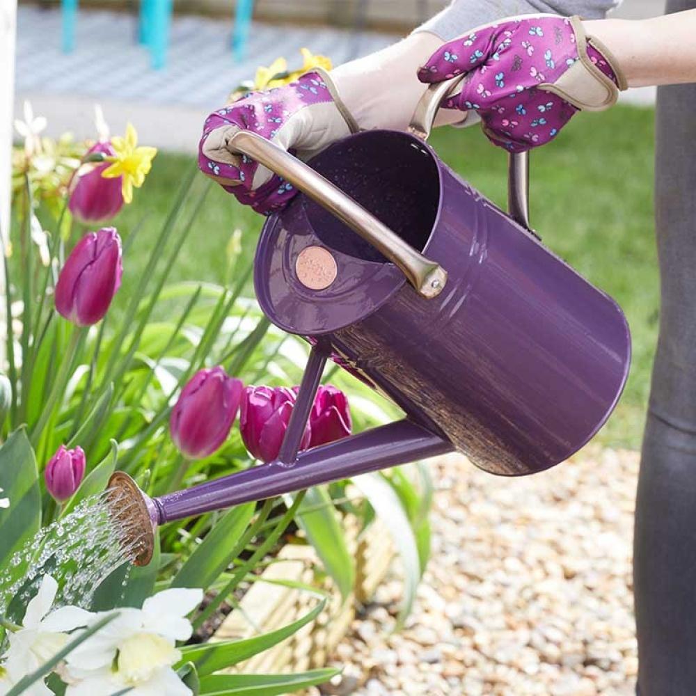 Grozone - Watering Can 4.5L, Violet