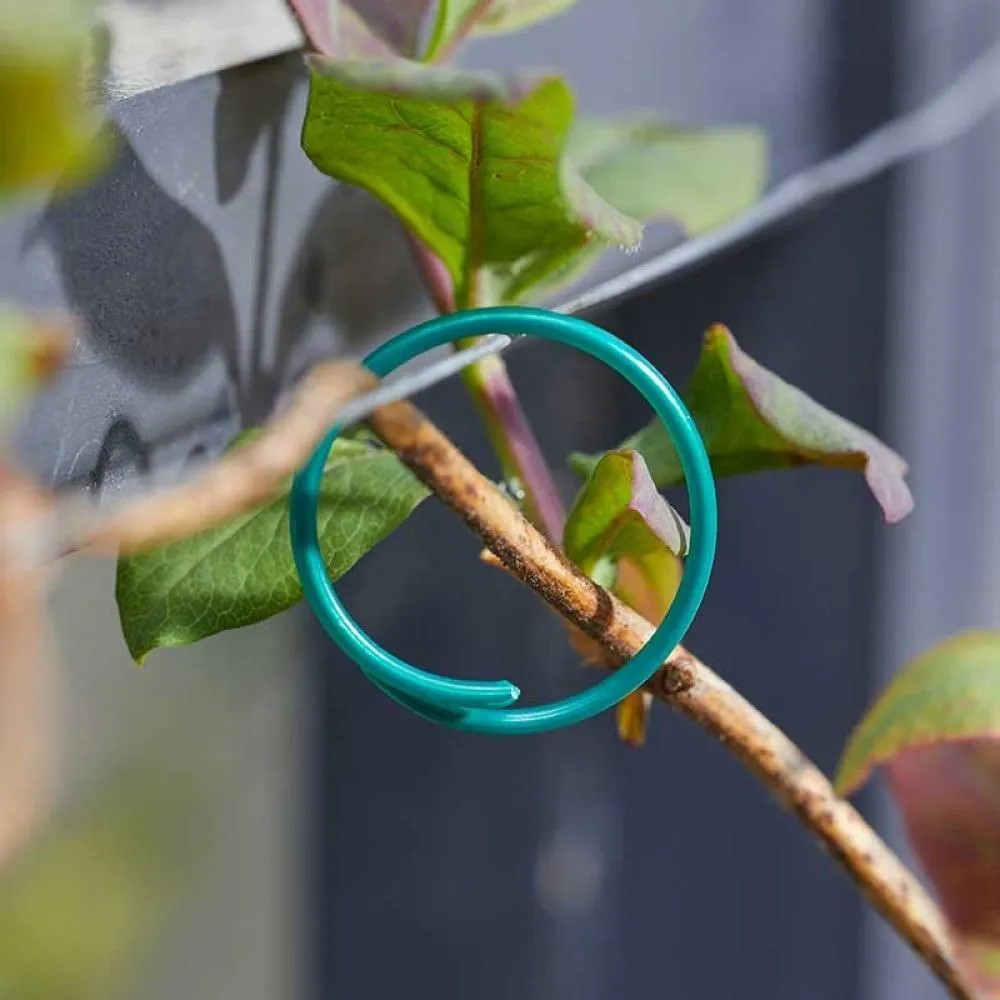 Useful - Coated Plant Rings 50Pk