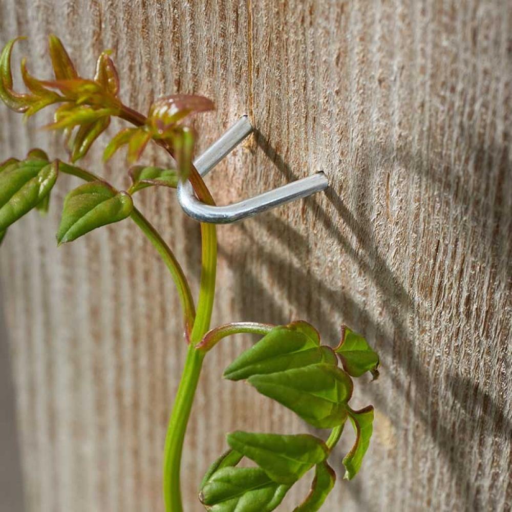 Useful - 25mm Galvanised Staples 100Pk