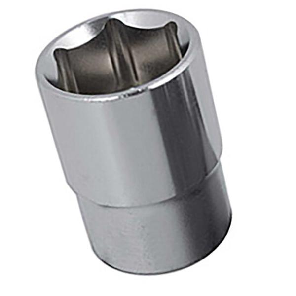 Dargan Socket 19mm